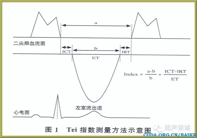 超声微课堂tei指数评价左心室整体功能