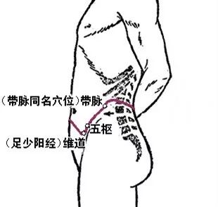 经络| 身体侧面的痛苦,都找胆经