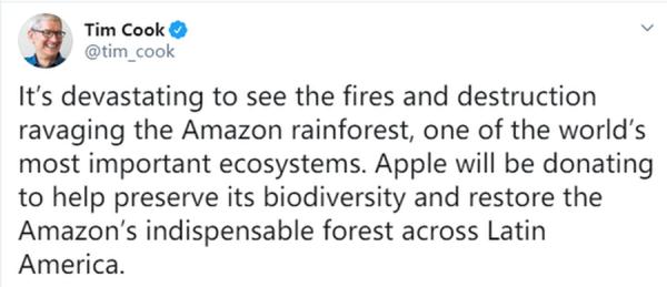 库克：计划向亚马逊雨林捐款火灾频发令人痛惜_徐一禾
