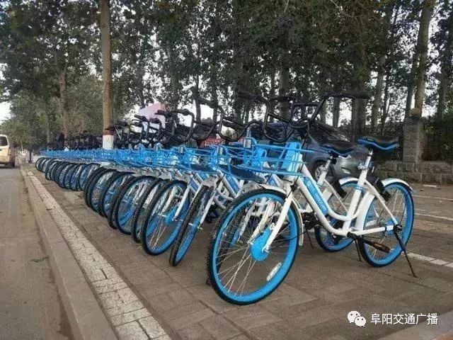 怎样使用共享单车步骤 b9c4128b59bd4ccb9ec788779ac44ef2.jpeg