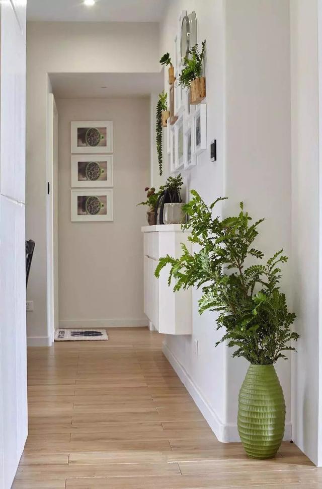 一进门摆什么绿植 e27023beac99423abba22b3be2126e63.jpeg