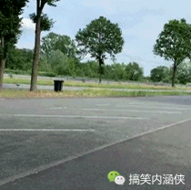 搞笑gif趣图果然长得帅就可以为所欲为