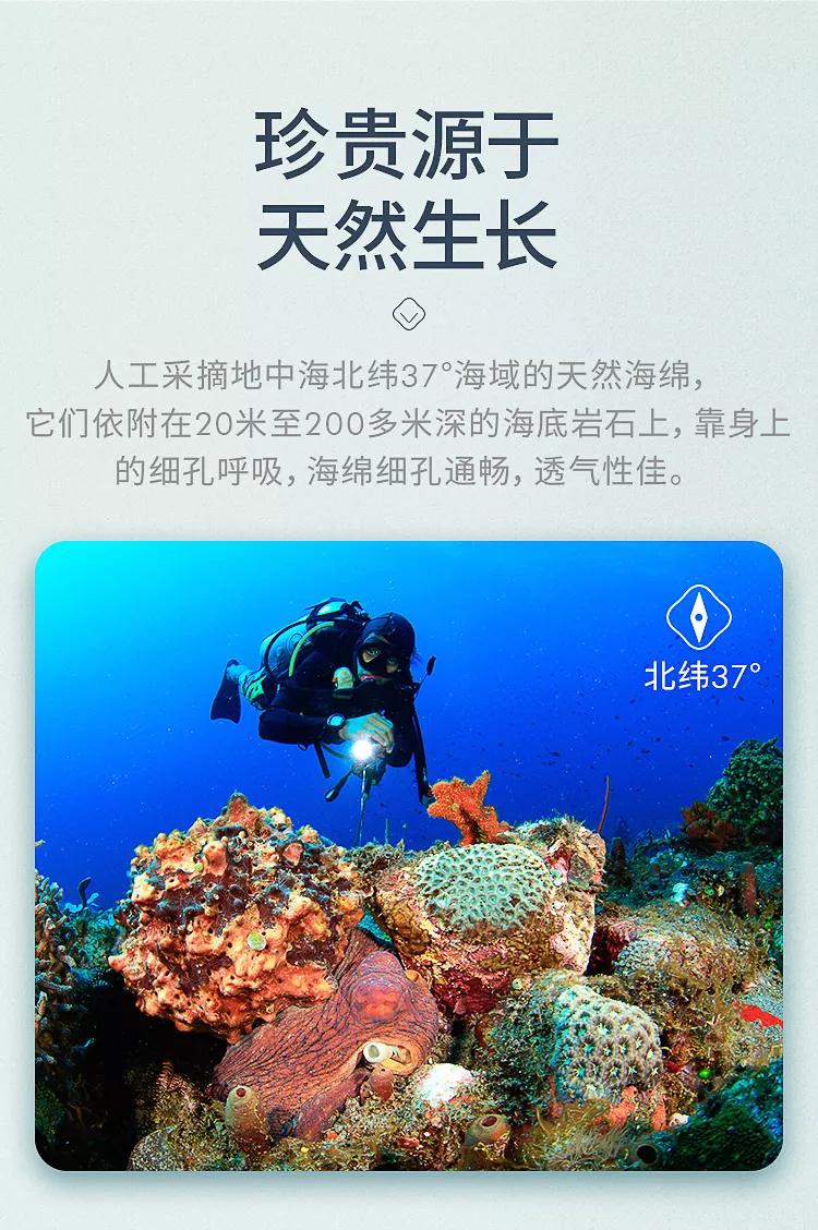                     天然海绵，让宝宝洗澡皮肤越“养”(xi)越好