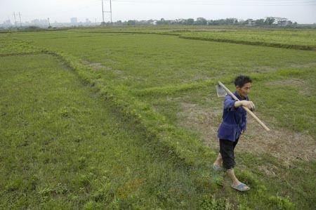 人口地包赔_牙齿天包地图片(3)