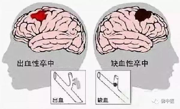 f305036fa2404ddba5c263ece820ff16.jpeg