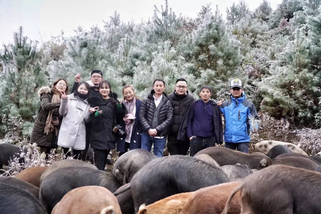 你熟悉的贵州老味道,可乐猪火腿月饼横空出世!_赫章县