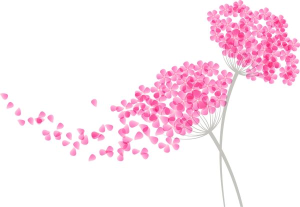 新县有多少人口(3)