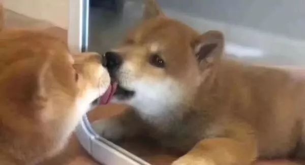 09c6cf54553140d1841badc7992367ad.jpeg