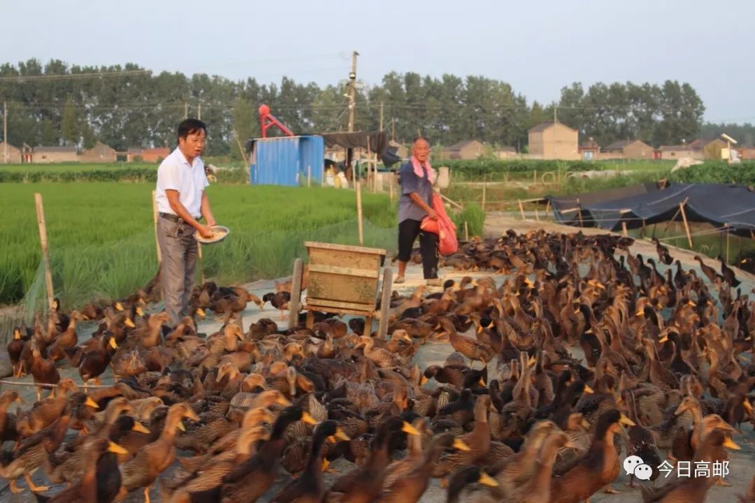 潘阳镇人口_潘阳性感