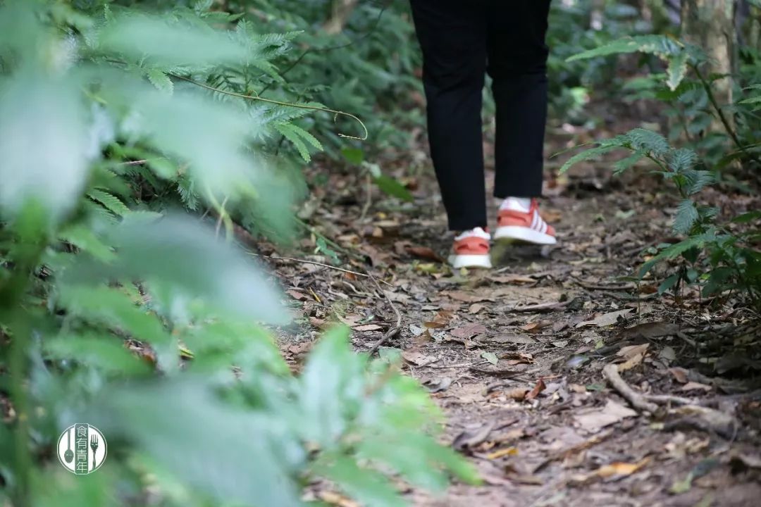 好享海南 | 12個打卡點，跨越6個市縣，尋美海南島的詩和遠方 旅遊 第88張