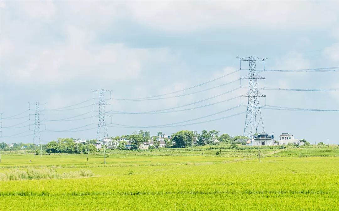 文章配图-7
