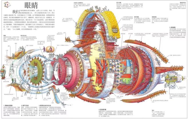 英国百科人口_英国人口密度分布图(3)