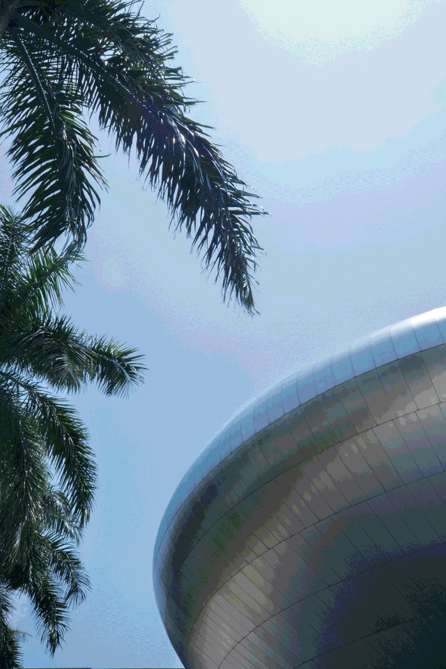 壁纸 桌面 640_960 竖版 竖屏 手机 gif 动态图 动图