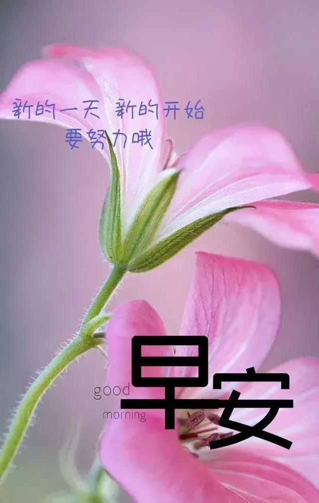 我的心里只有你没有他简谱_我的心里只有你没有他(3)