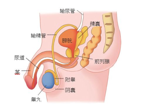 今天我们为你罗列男性疾病症状大全出现一个立马就医