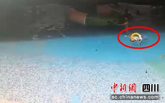 富顺11岁女孩水上乐园蹊跷溺亡当地已成立调查组