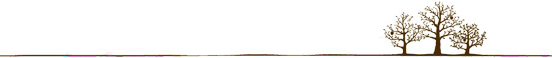文章配图-8