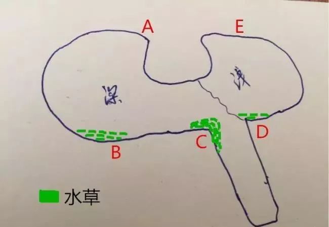 38b964859e7f433d8f12fec3733f267c.jpeg