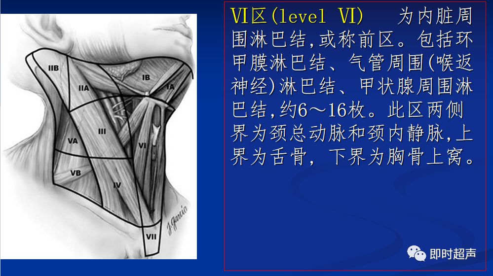 腹腔及腹膜后(肠系膜,腹主动 脉旁) (一)颈部淋巴结分区 Ⅰ区:腋下组