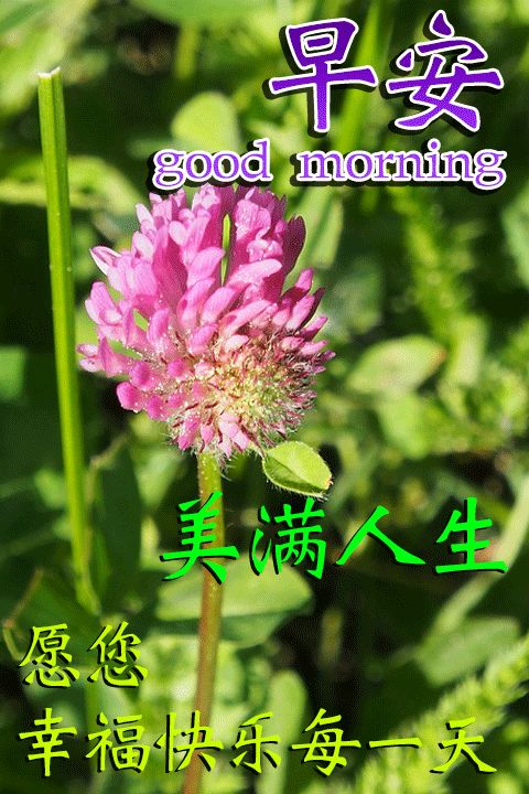 411884a0f5af4f08acc849d5610558fa.jpeg