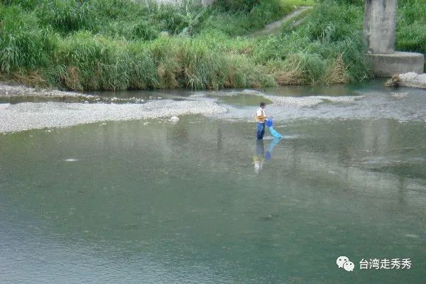 療愈稻浪佐金黃花海！漫遊臺灣花蓮山水紓壓一夏 旅遊 第5張