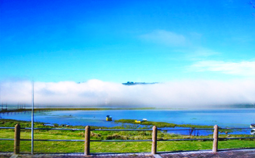 南非旅游卫生安全须知 南非旅游实用指南