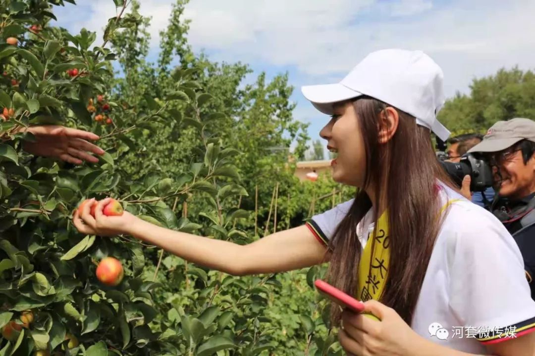 编辑:韩宇 校对:屈加曼,尉彬 审核:马若晗 返回搜