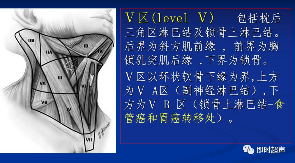 深部:腹腔及腹膜后(肠系膜,腹主动 脉旁) (一)颈部淋巴结分区 Ⅰ区