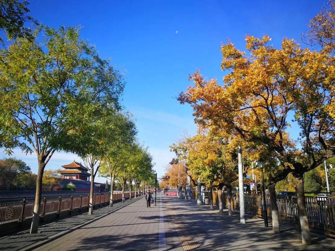 北京市东城区和平里街道地坛公园