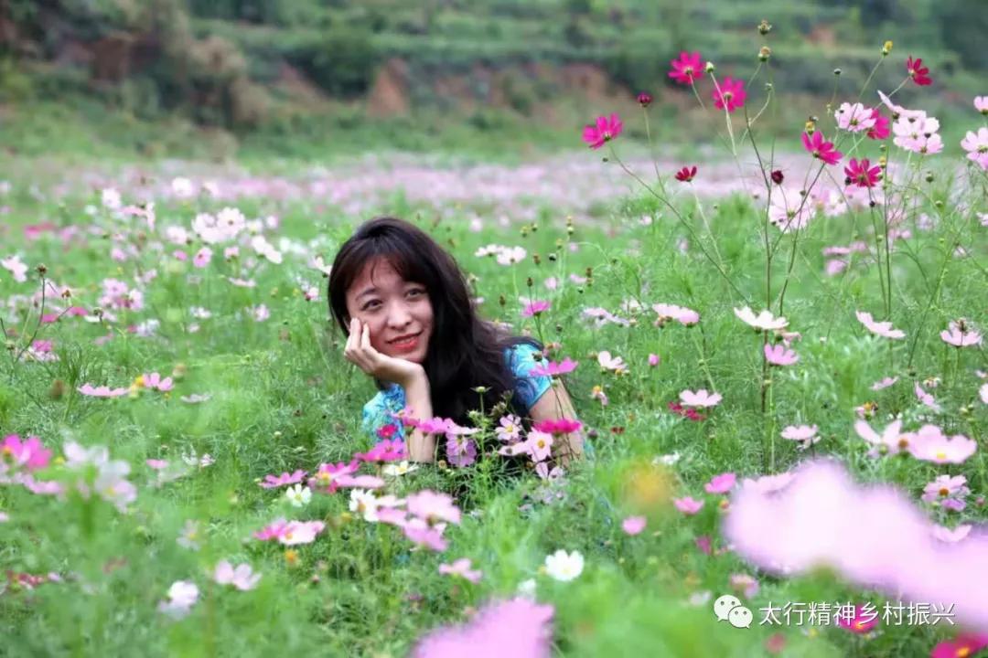 细雨如烟芳草青,美人秋水盈.