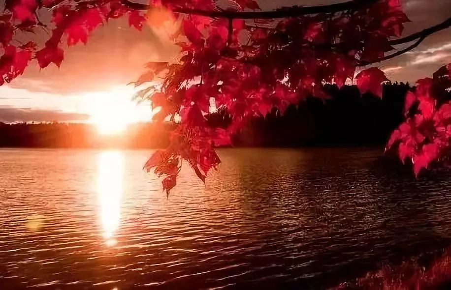 适合喝茶时静听的古筝名曲100首 收藏起来慢慢