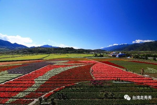 療愈稻浪佐金黃花海！漫遊臺灣花蓮山水紓壓一夏 旅遊 第4張