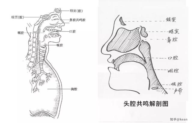 四人口腔音_口腔溃疡图片