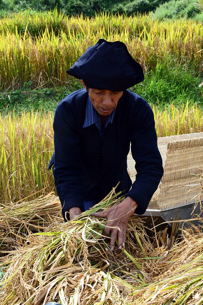 啥叫中耕 6b2132b7163e4832a6abc449410d7c22.jpeg