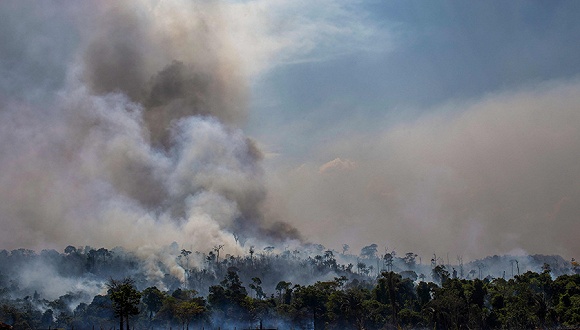 亚马孙大火危害开始显现，浓烟扩散呼吸病患者激增