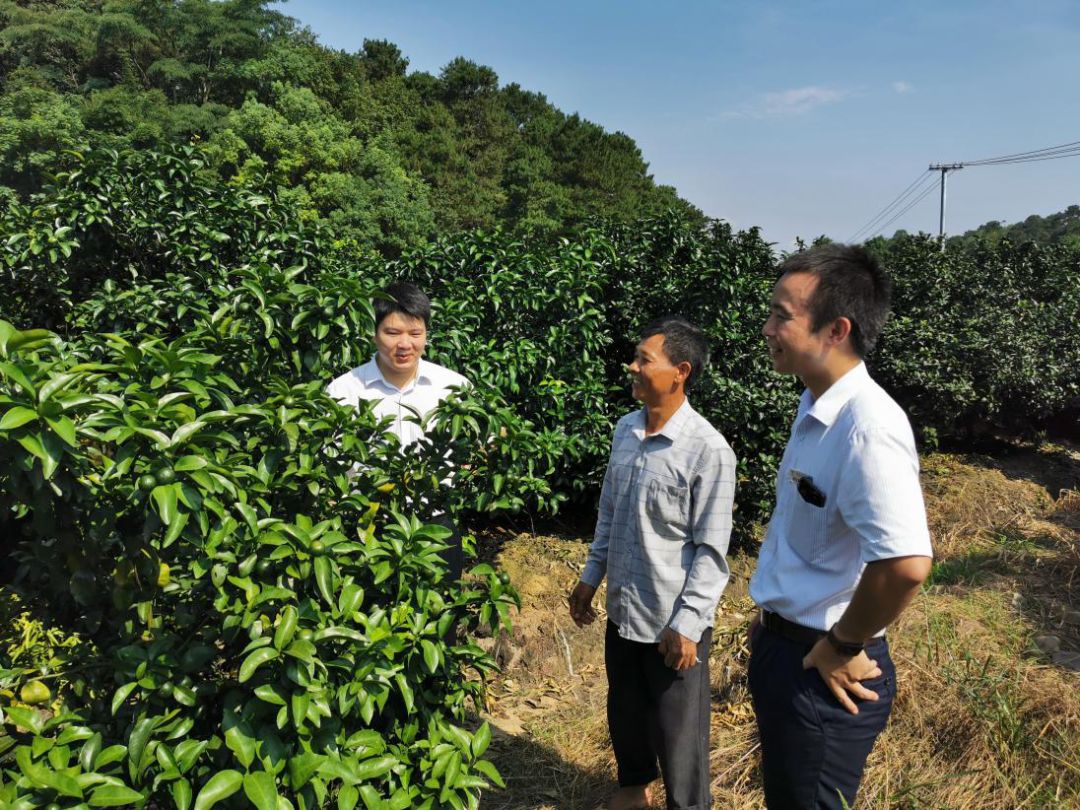 在象州县,像覃宗会一样受益的贫困户还有很多.