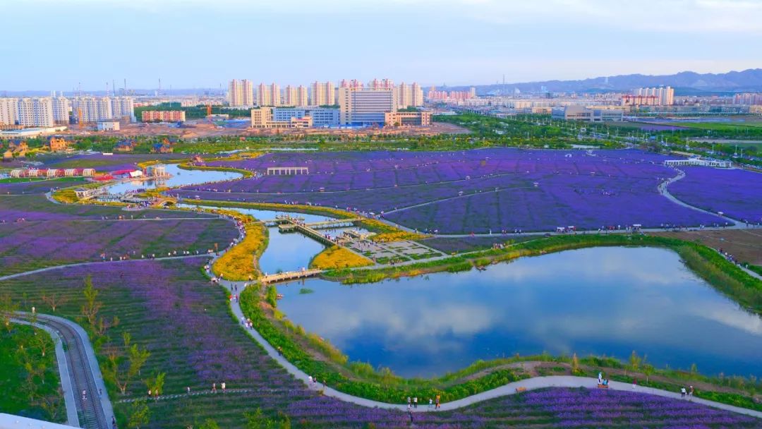 金昌市人口2017年_金昌市地图