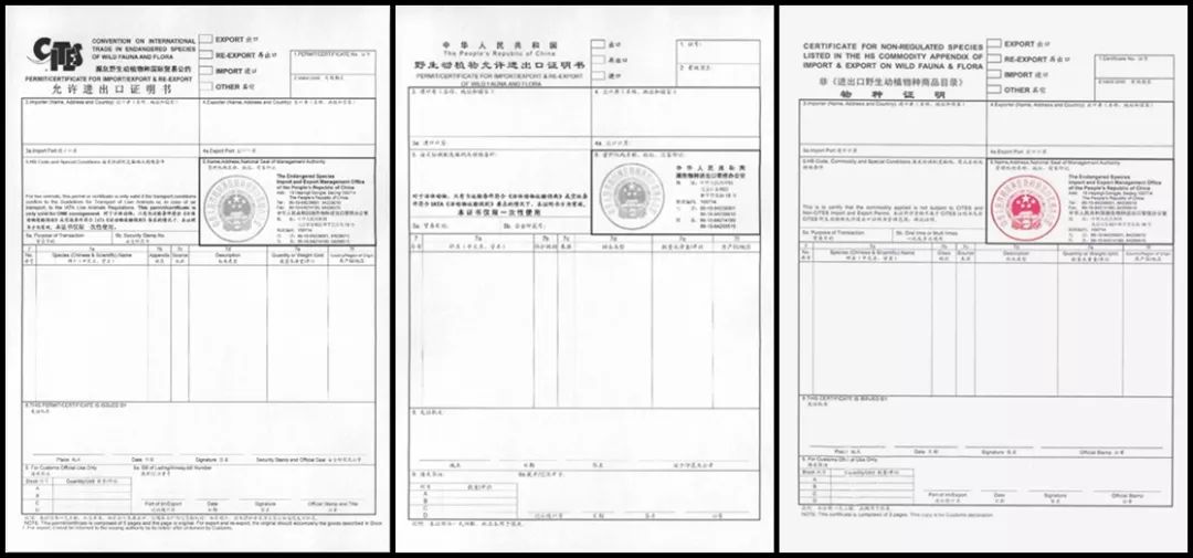 应当提交出口国(地区)濒危物种进出口管理机构核发的允许出口证明材料