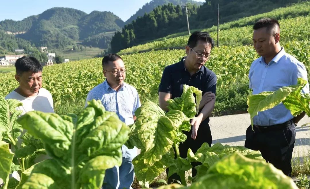 我和我们的政协徐忠良八年政协记忆一生产业情怀