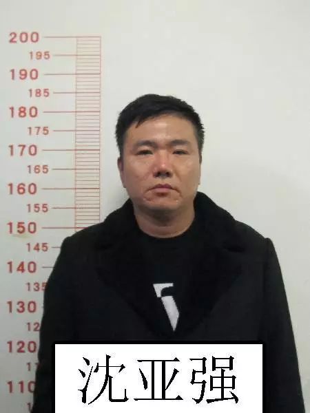 桐乡市公安局关于征集沈亚强等人违法犯罪线索的通告