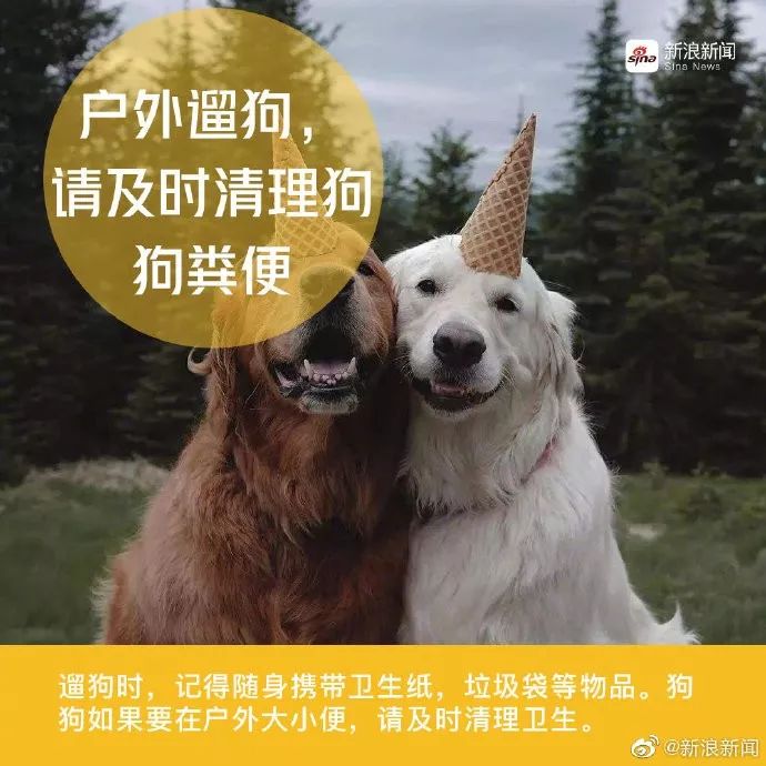 8460c992e9fa4c34a2372f623466d8a6.jpeg