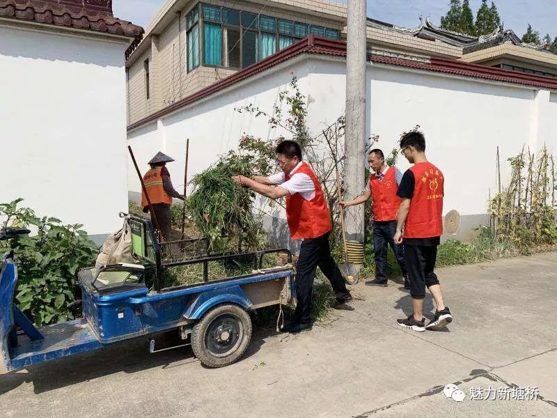 凝心聚力,真抓实干,塘桥镇全面开展农村人居环境整治工作