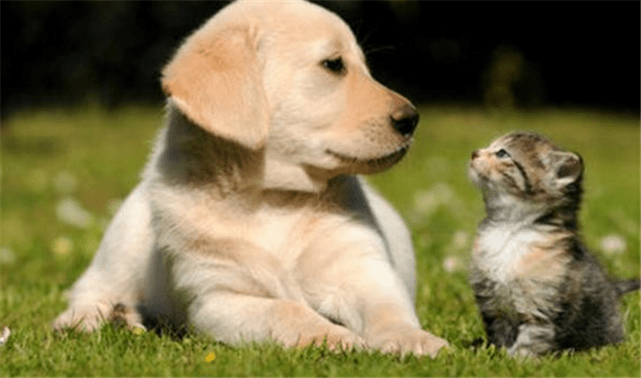 8c0e11aebcf8403d95a38b468aed0976.png