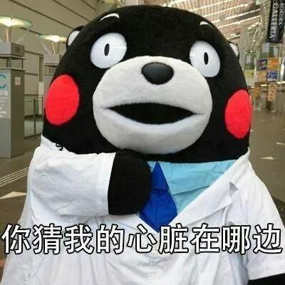 聊天套路丨永远不要挑战我的底线_表情