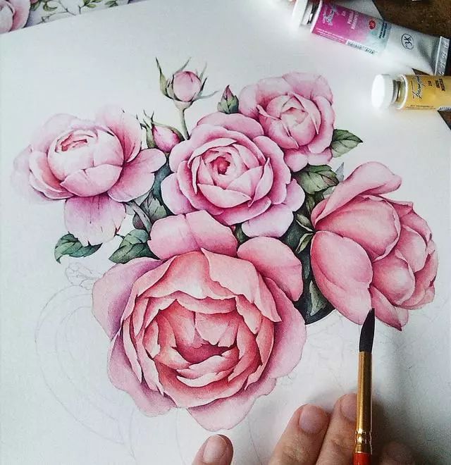 彩铅结合水彩来画手绘童话般的精致