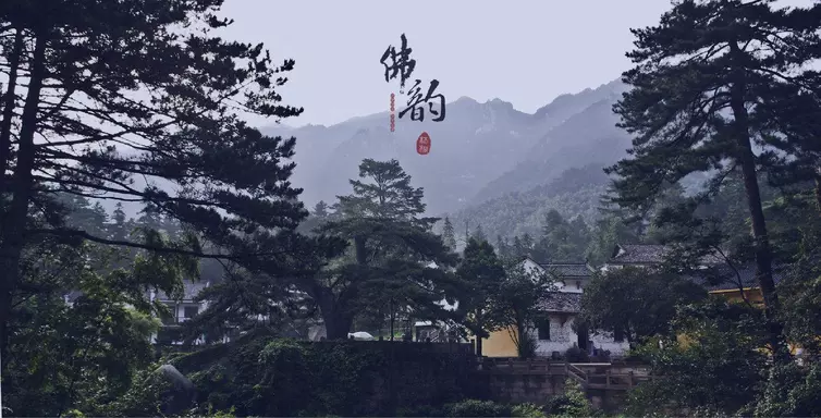 文章配图-35