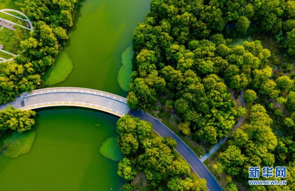 8月21日,航拍安徽省合肥市翡翠湖公园美景.