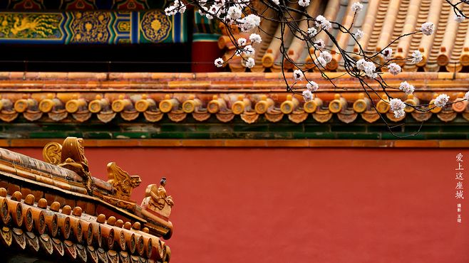 2.紫禁城城墙的四座角楼,据说原型来自于蛐蛐笼子