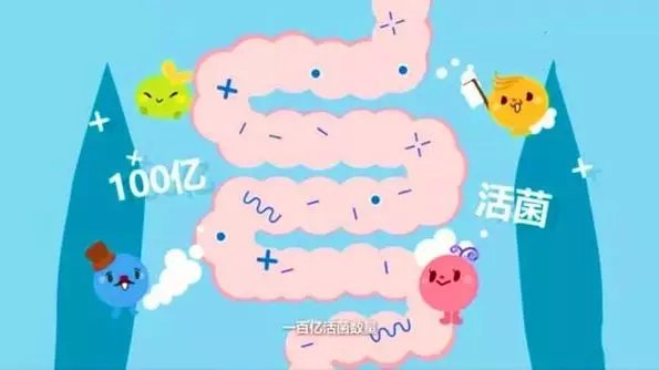如何正确选购益生菌 a7d98c0d1753468c99f50d0638242739.jpeg