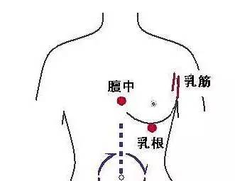 内衣结构部位名称_人的身体部位名称图片(3)